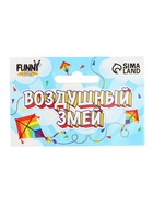Воздушный змей «Принцесса», с леской - Фото 4