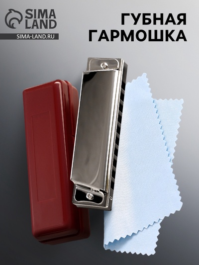 Губная гармошка Music Life T10 C диатоническая, 10 отверстий, с футляром