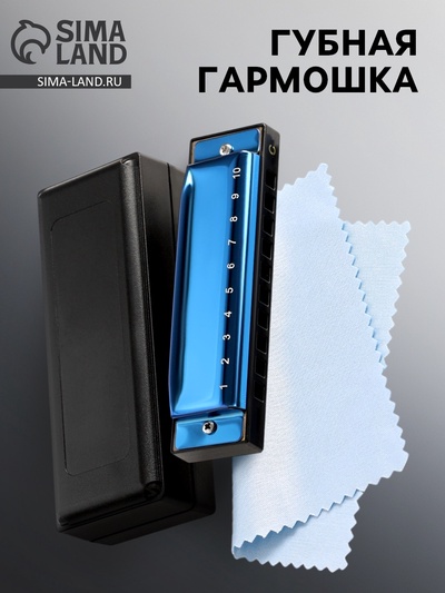 Губная гармошка Music Life T003 C диатоническая, 10 отверстий, с футляром, синяя