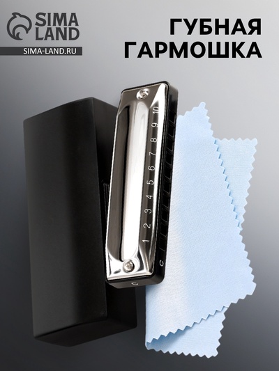 Губная гармошка Music Life T002 C диатоническая, 10 отверстий, с футляром