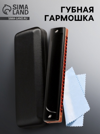 Губная гармошка Music Life T22K тремоло, с футляром