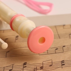Блокфлейта Music Life, 8 отверстий, розовый чехол, шомпол, 30 см