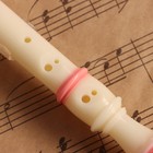 Блокфлейта Music Life, 8 отверстий, розовый чехол, шомпол, 30 см - Фото 4