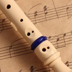 Блокфлейта Music Life, 8 отверстий, синий чехол, шомпол, 30 см - Фото 4
