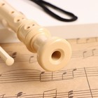 Блокфлейта Music Life, 8 отверстий, белый чехол, шомпол, 30 см - Фото 2