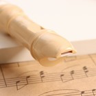 Блокфлейта Music Life, 8 отверстий, белый чехол, шомпол, 30 см - Фото 3