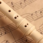 Блокфлейта Music Life, 8 отверстий, белый чехол, шомпол, 30 см - Фото 4