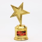 Наградная фигура: звезда литая «Золотой учитель», кубок, золото, пластик, 16 х 8.5 см. - фото 3365515