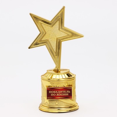 Кубок наградная фигура: звезда литая «Победитель по жизни» золото, пластик, 16 х 8,5 х 6 см.