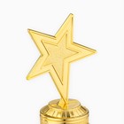 Кубок наградной «Победитель по жизни», фигура звезда литая, золото, пластик, 16×8.5×6 см 9923022