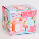 Свеча своими руками. Создание свечей с формовыми элементами, набор для творчества - Фото 6