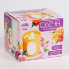 Свеча своими руками. Создание свечей с формовыми элементами, набор для творчества - Фото 6