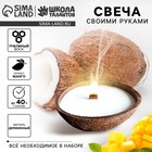 Набор для создания свечи в кокосовой скорлупе «Манго» - фото 12186119