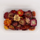 Свеча своими руками. Создание цветных свечей с цветочным декором «Краски Осени», набор для творчества - Фото 6