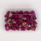 Свеча своими руками. Создание цветных свечей с цветочным декором «Летнее настроение», набор для творчества - Фото 6