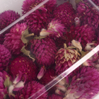 Свеча своими руками. Создание цветных свечей с цветочным декором «Летнее настроение», набор для творчества - Фото 7