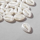 Бусины пластиковые «Жемчуг» ракушки, набор 50 шт., 1,5×1,2×0,5 см, цвет белый - фото 321242055