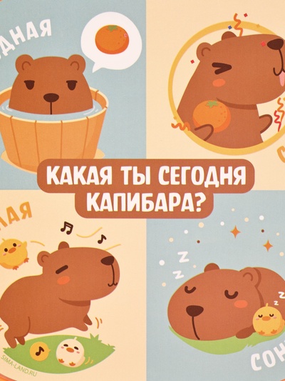 Ланч - бокс квадратный с секциями «Капибара», 14,5 х 6 см