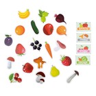 Пластик на липучках «Фрукты, овощи, ягоды, грибы» - фото 9458535