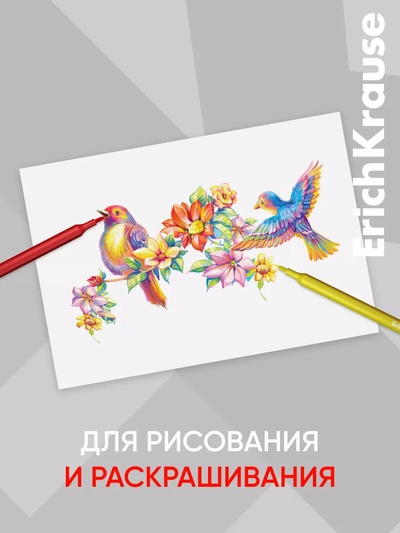 Фломастеры 6 цветов ErichKrause light, в футляре с европодвесом