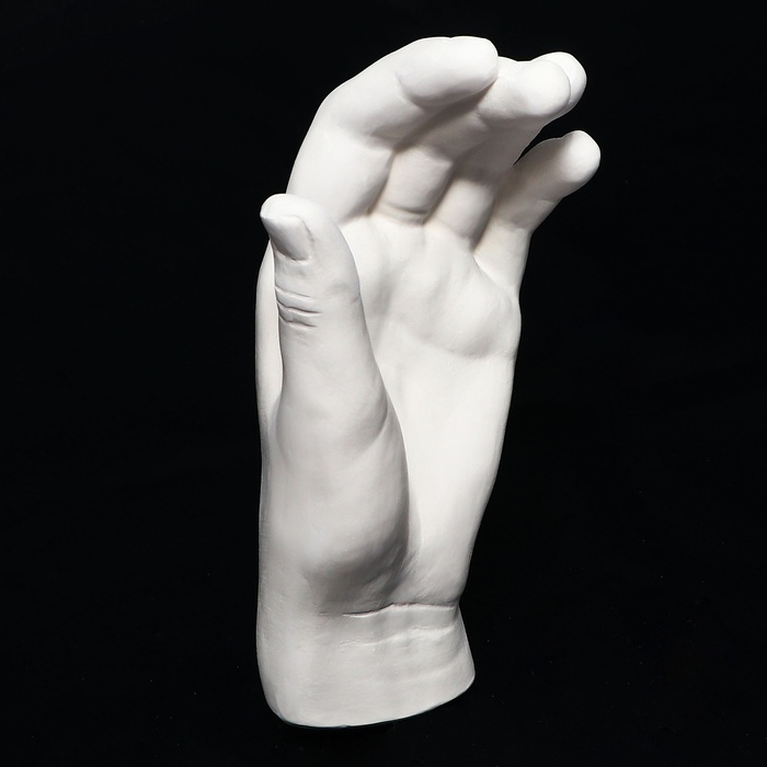 Гипсовая фигура Анатомические детали: "Кисть женская" 18.5 см
