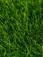 Газон искусственный, ворс 10 мм, 1×2 м, зелёный, Greengo - Фото 10