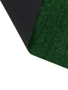 Газон искусственный, ворс 10 мм, 2×5 м, зелёный, Greengo - Фото 4