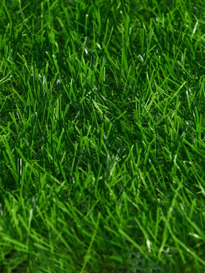 Газон искусственный, ворс 30 мм, 1×2 м, зелёный, Greengo