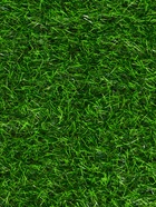 Газон искусственный, ворс 30 мм, 1×2 м, зелёный, Greengo 10131584 - фото 319847615