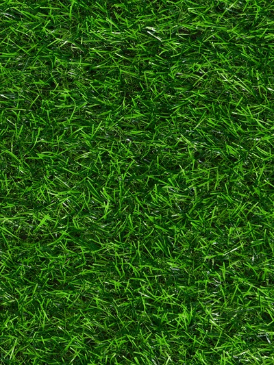 Газон искусственный, ворс 30 мм, 1×2 м, зелёный, Greengo