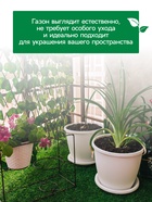 Газон искусственный, ворс 30 мм, 1×2 м, зелёный, Greengo - Фото 5