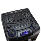 Портативная караоке система ELTRONIC CRAZY BOX (30-23), 240 Вт,AUX,USB,BT, подсветка,черная - Фото 5