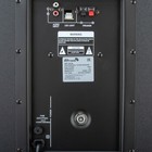 Портативная караоке система ELTRONIC CRAZY BOX (30-24), 160 Вт,AUX,USB,BT, подсветка,черная - фото 9458818