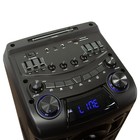 Портативная караоке система ELTRONIC CRAZY BOX (30-24), 160 Вт,AUX,USB,BT, подсветка,черная - фото 9458814