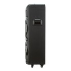 Портативная караоке система ELTRONIC DANCE BOX 1300 (20-72), 130 Вт,AUX,USB,BT, TWS, черная - фото 9458826