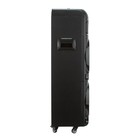Портативная караоке система ELTRONIC DANCE BOX 1300 (20-72), 130 Вт,AUX,USB,BT, TWS, черная - фото 9458828