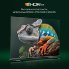 Телевизор Digma Pro 43L, 43", 3840x2160, QLED, DVB-T2/C/S2, HDMI 3, USB 2, Smart TV, чёрный - фото 51546235