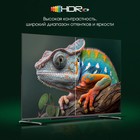 Телевизор Digma Pro 43L, 43", 3840x2160, QLED, DVB-T2/C/S2, HDMI 3, USB 2, Smart TV, чёрный - фото 9458840