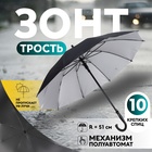 Зонт - трость полуавтоматический «Однотон», 10 спиц, R = 51 см, цвет МИКС - Фото 1