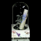 Сувенир стекло музыкальный световой колба "Мишка со свитком" 14,5х7,8х7,8 см МИКС - Фото 3