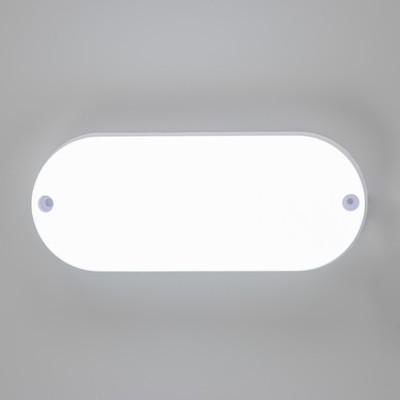 Светильник «Овал» LED 10 Вт IP65 белый 6.8×6.8×17 см