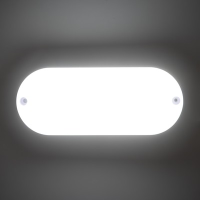 Светильник «Овал» LED 10 Вт IP65 белый 6.8×6.8×17 см