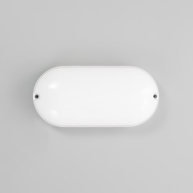 Светильник "Овал" LED 20Вт IP65 белый 6,8х13,5х27 см