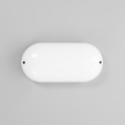 Светильник «Овал» LED 20 Вт IP65 белый 6.8×13.5×27 см