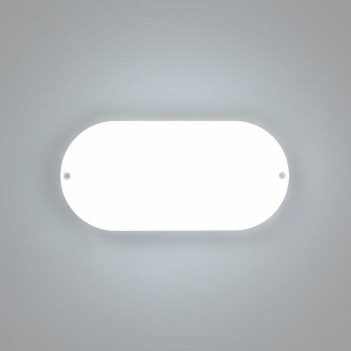 Светильник "Овал" LED 20Вт IP65 белый 6,8х13,5х27 см