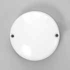 Светильник "Круг" LED 10Вт IP65 белый 5х5х14 см - фото 321462488