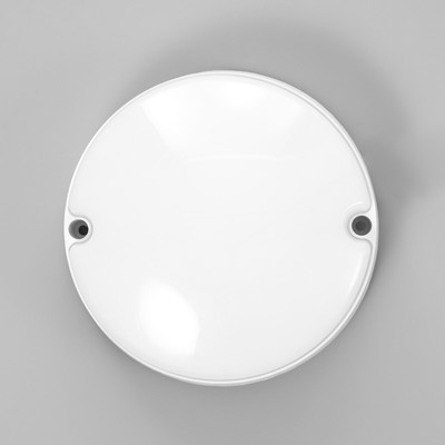 Светильник «Круг» LED 10 Вт IP65 белый 5×5×14 см