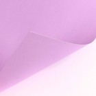 Картон цветной тонированный, А4, 8 листов, 8 цветов, немелованный, двусторонний, в пакете, 180 г/м², Минни Маус - Фото 3