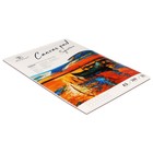 Альбом для рисования, холсты грунтованные, А3, 10 листов, плотность 280 г/м, для акрила и масла - Фото 2