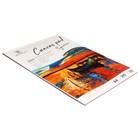 Альбом для рисования холсты грунтованные, А4, 10 листов, плотность 280 г/м², для акрила и масла - Фото 2